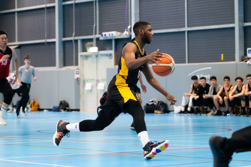 理想的选择 理想的选择